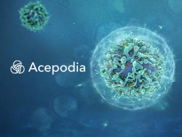 育世博生物科技 SEO案例